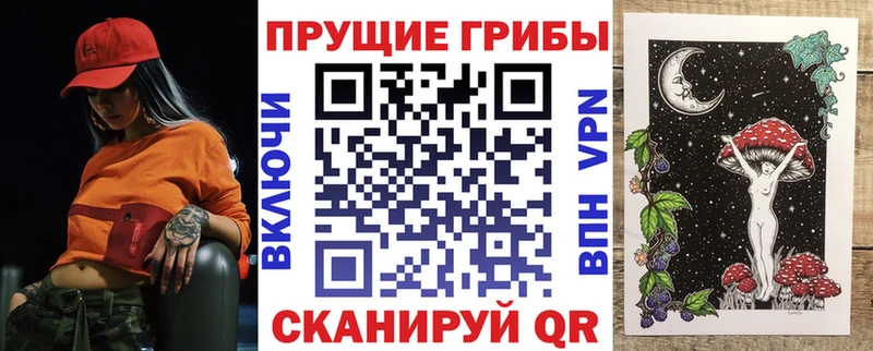 Псилоцибиновые грибы Psilocybe  продажа наркотиков  ОМГ ОМГ вход  Брянск 