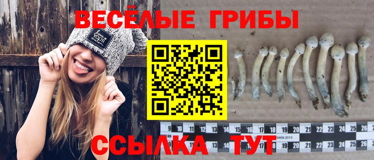 продажа наркотиков  Галлюциногенные грибы Magic Shrooms  Вход с VPN  Брянск 