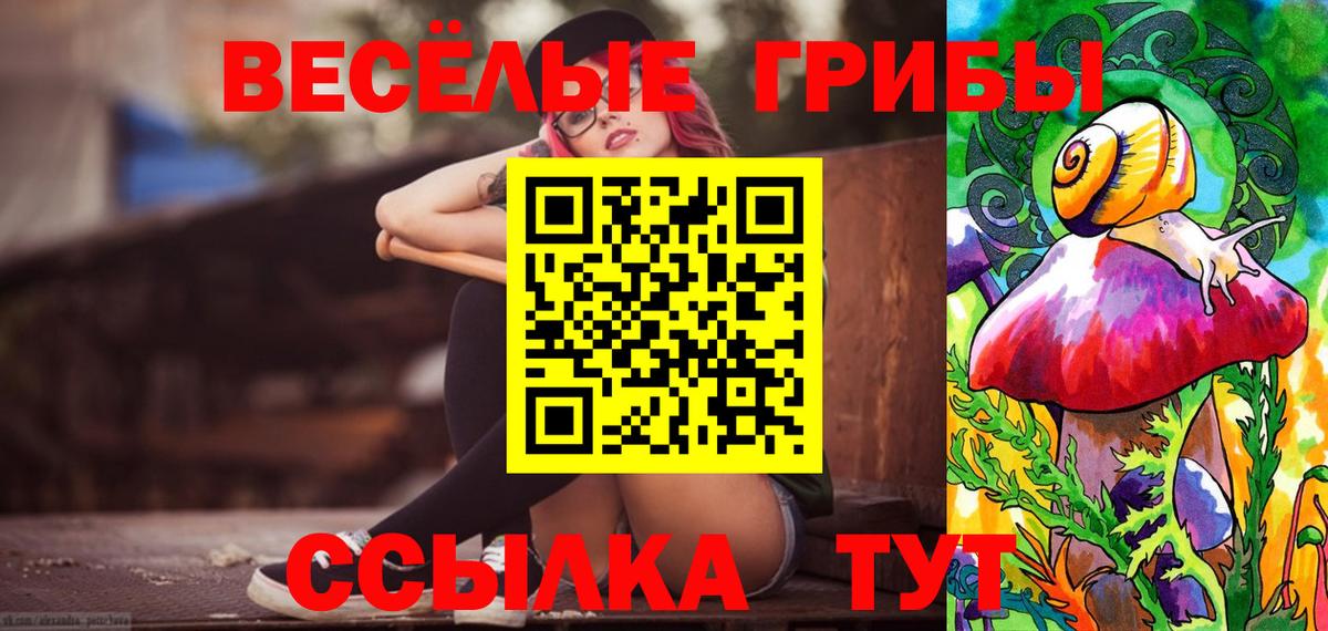 Псилоцибиновые грибы Psilocybe Брянск