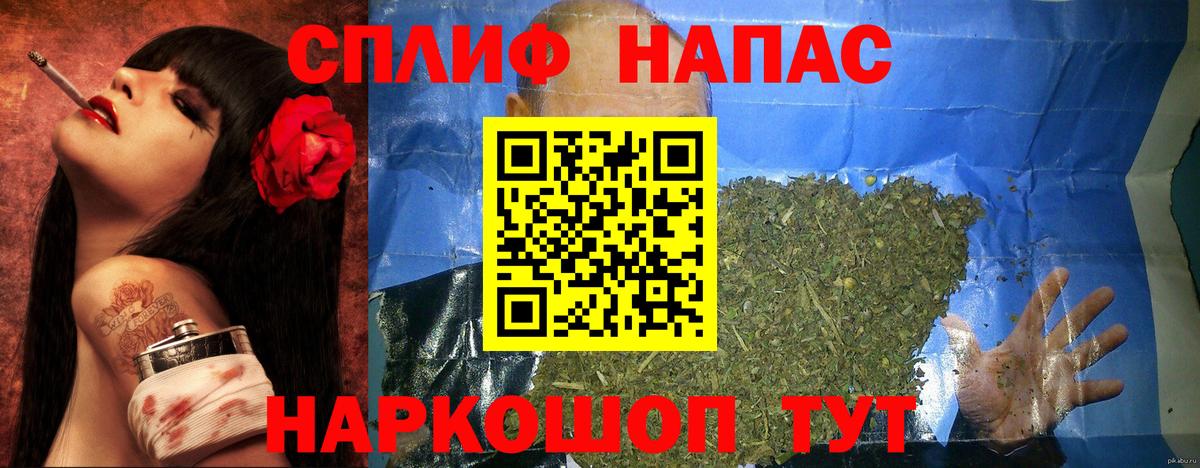 Шишки марихуана семена Брянск